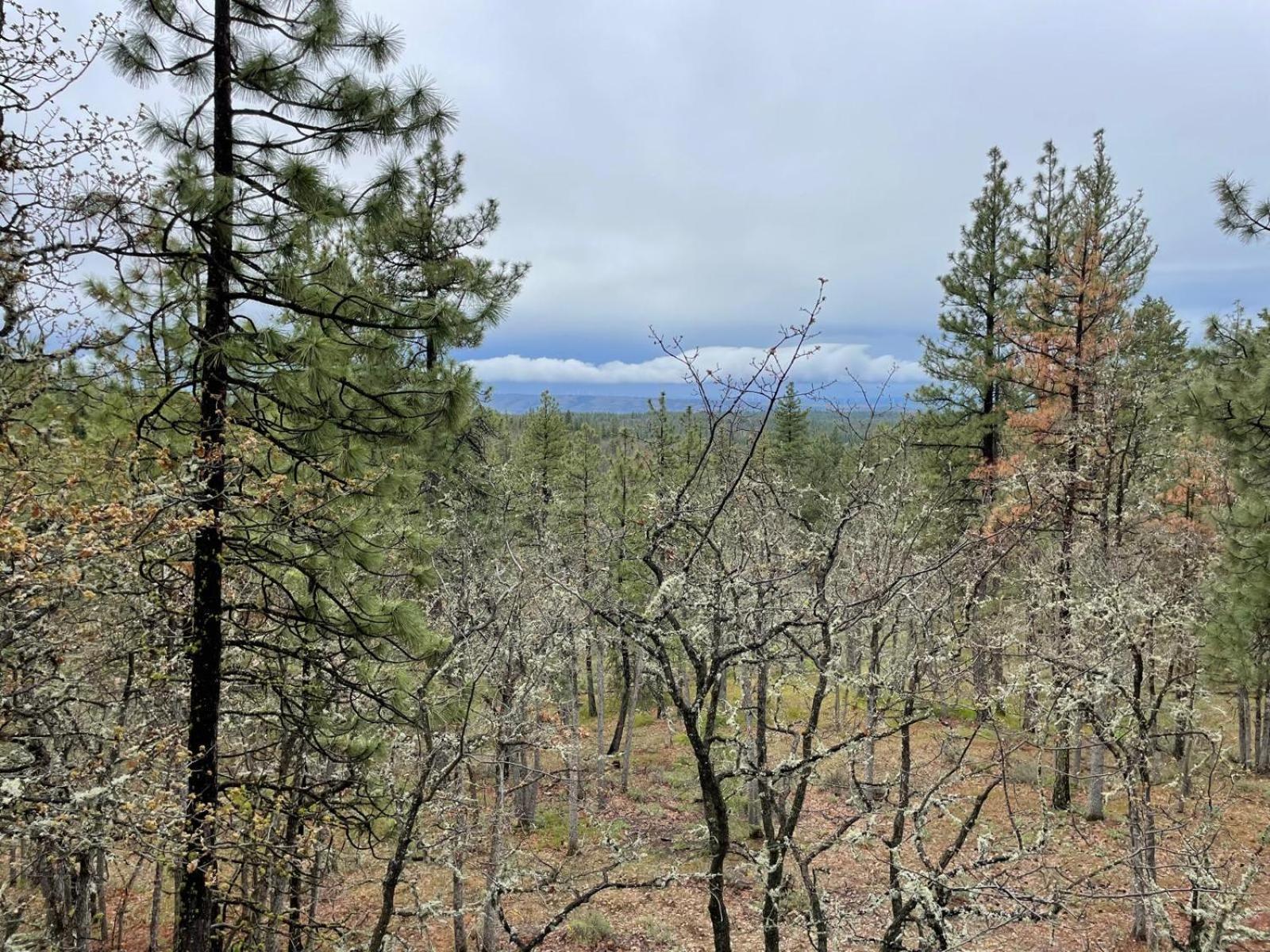 Hotel Treehouse Ranch Goldendale Exterior foto